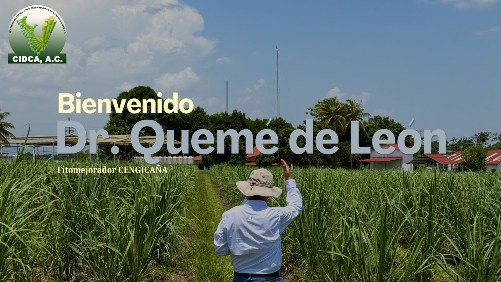 Imagen noticia
